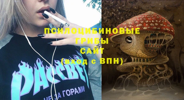 Альфа ПВП Осинники