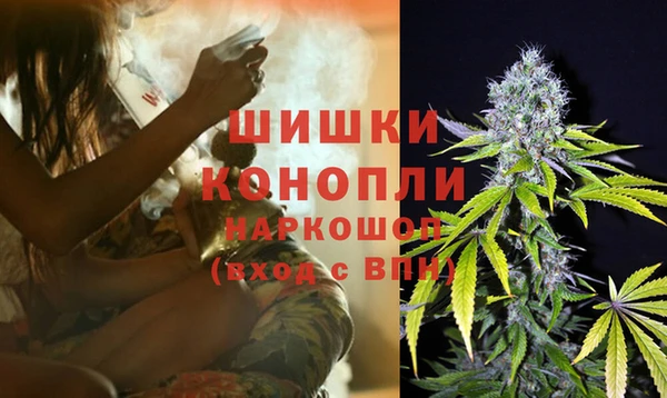 Альфа ПВП Осинники