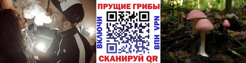 Псилоцибиновые грибы MAGIC MUSHROOMS  Собинка 